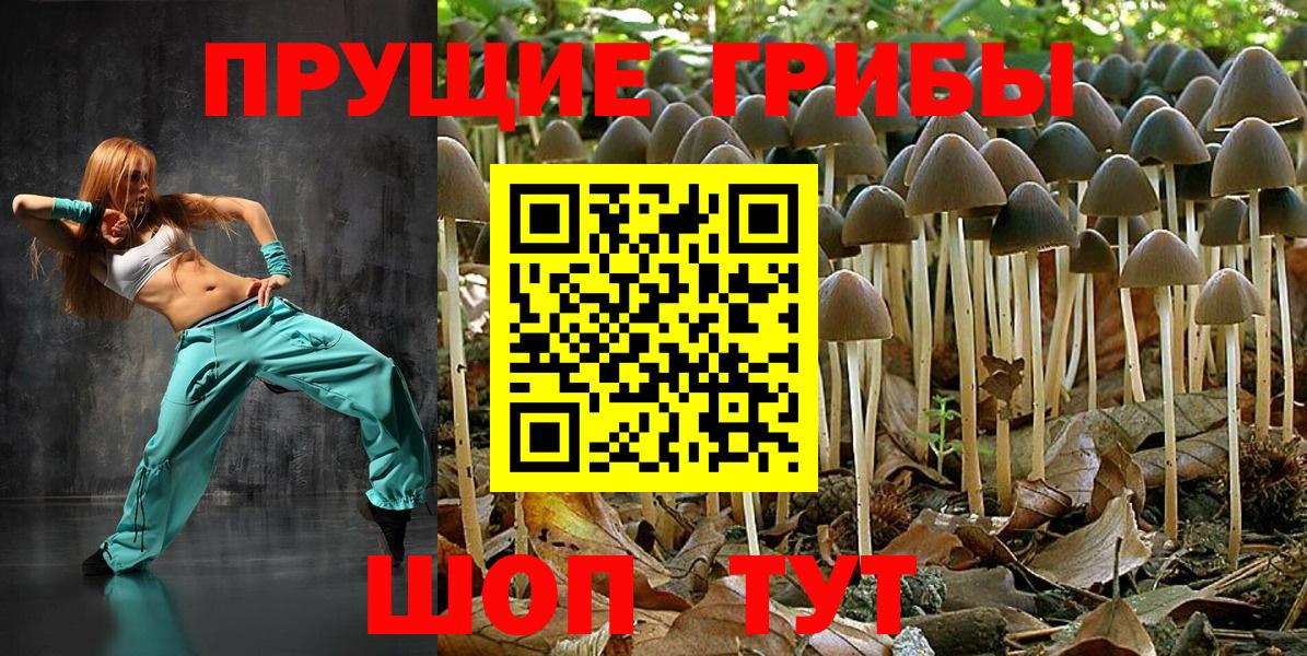Городец  Псилоцибиновые грибы Magic Shrooms  Вход с VPN 