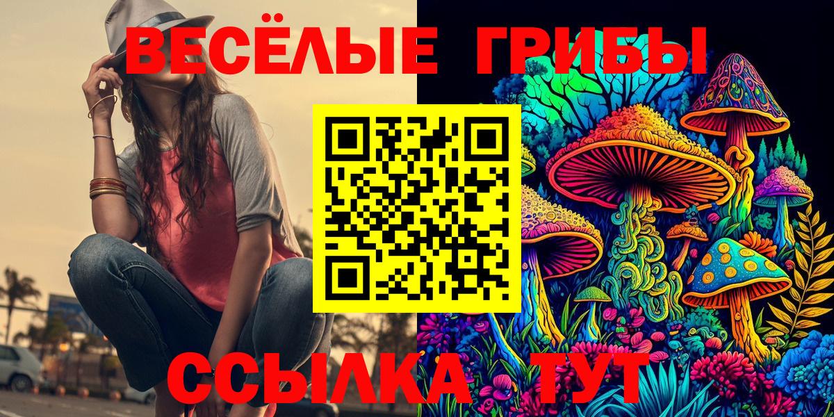 Псилоцибиновые грибы Cubensis Городец